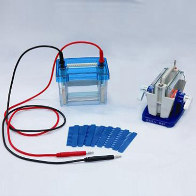 北京六一DYCZ-24DN迷你雙垂直電泳儀(小號(hào))蛋白電泳儀