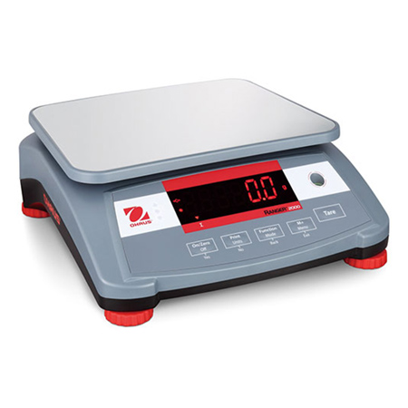 R21PE30ZH電子秤臺(tái)秤計(jì)重秤 30000g x 1g