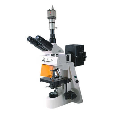 BM-19AYC熒光顯微鏡（電腦、落射）